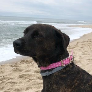 Meet your Posher, Laura